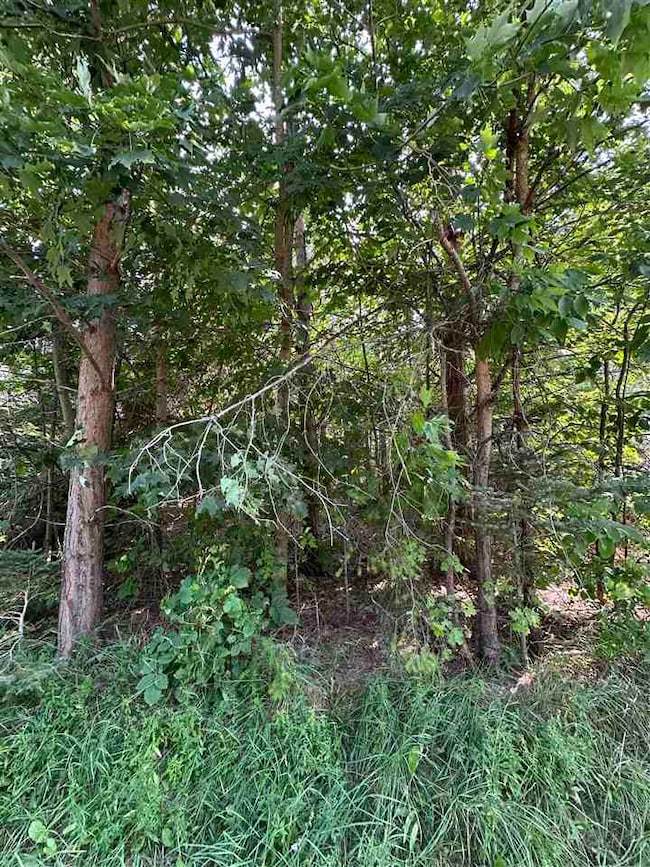 TBD Sheridan, Petoskey, MI 49770 - photo 5