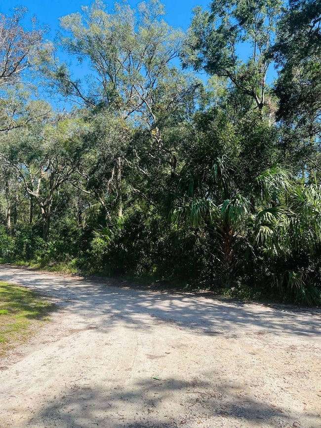 Wooded Lot #16