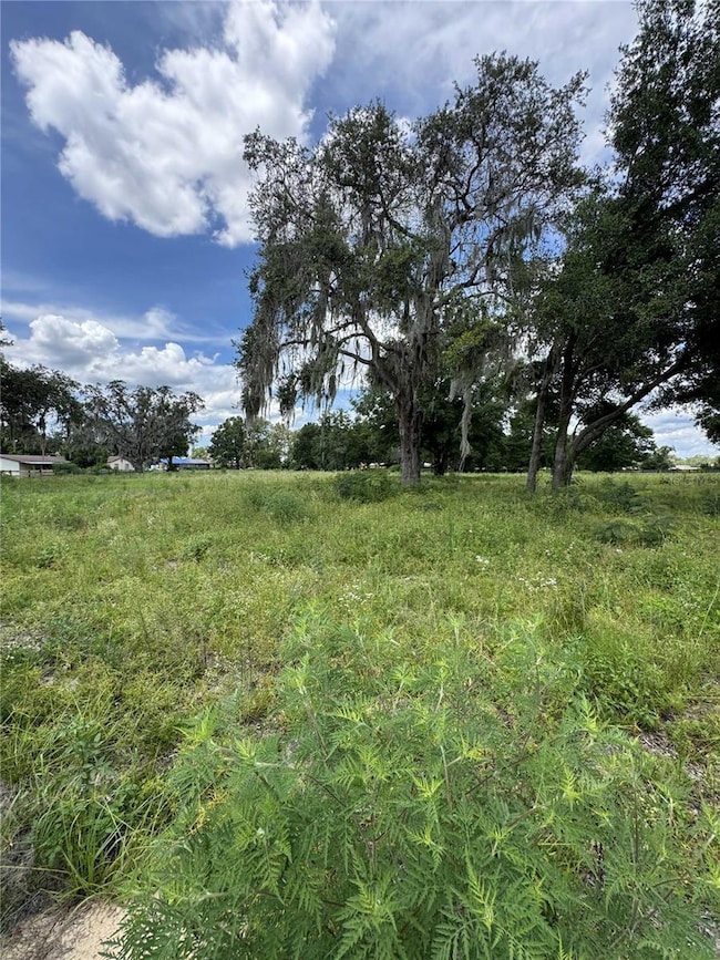 8640 SW 73rd Ave, Ocala, FL 34476 - photo 4