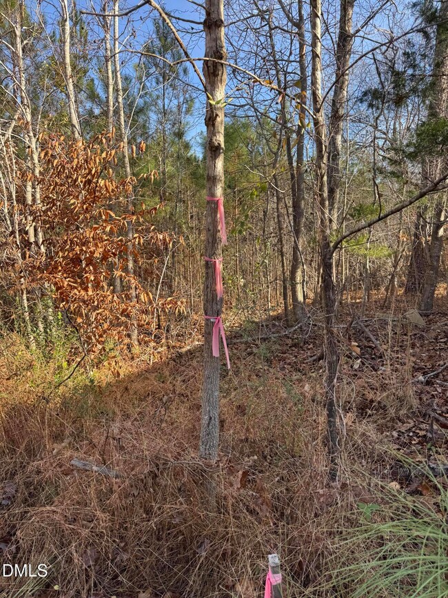 00 Matthew Dr, Henderson, NC 27537 - photo 7