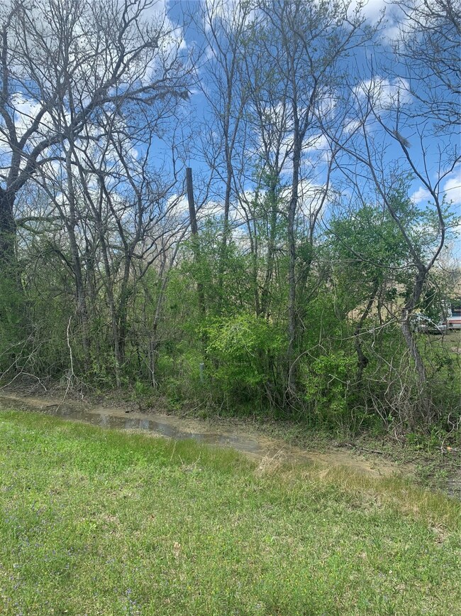 1671 County Road 310, Brazoria, TX 77422 - photo 3