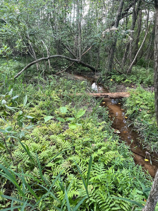 BFF 5 Brunson Teal Rd unit BFF 5, Chester, SC 29584 - photo 5