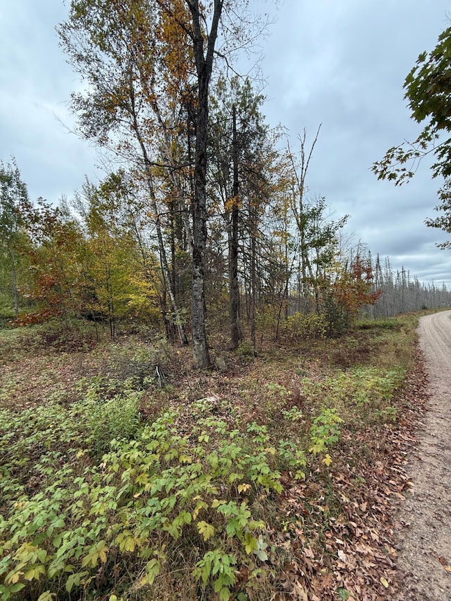 LOT 2 Birch Ln, Nashville, WI 54465 - photo 3