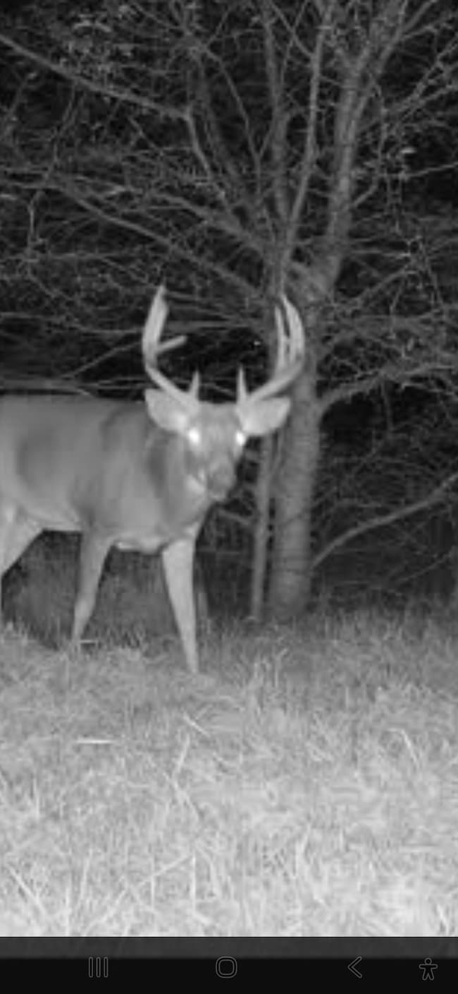 0 Violet Rd, Reger, MO 64630 - photo 2