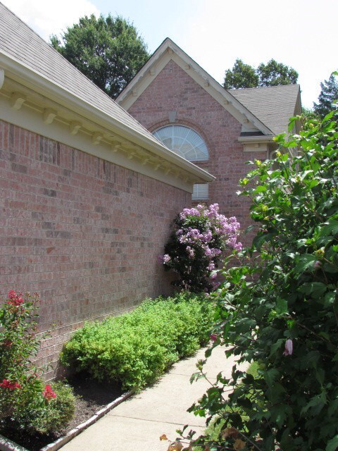 Walk-way to entry -
