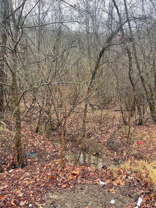 0 White Rd unit 59219, Warfield, KY 41267 - photo 5