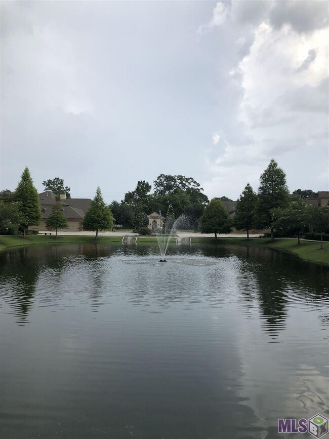 PRIVATE LAKE RIGHT OUT YOUR FRONT DOOR