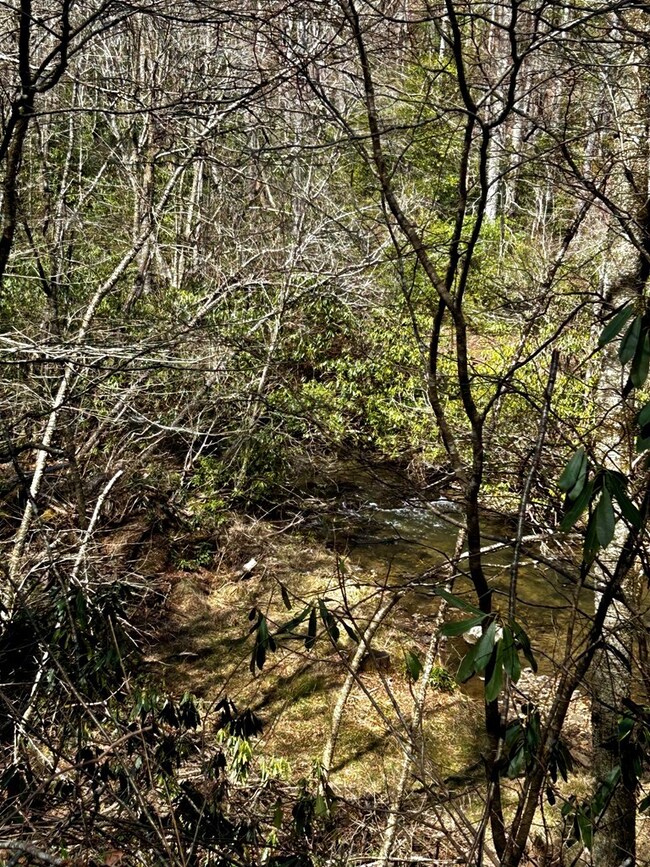 0 Little Snowbird Rd unit 152342, Robbinsville, NC 28771 - photo 5