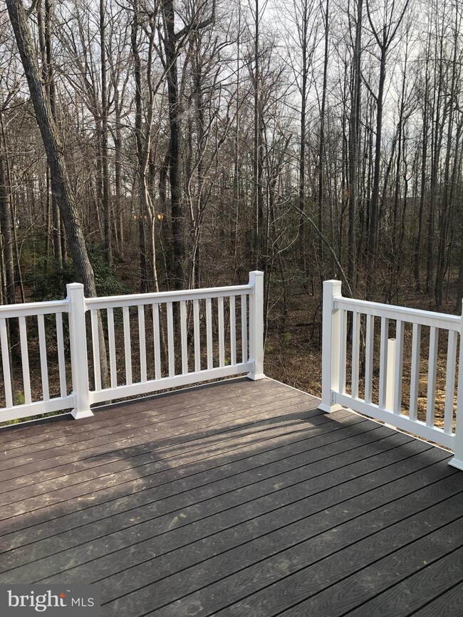 45575 Foxfield Ln, California, MD 20619 - photo 5