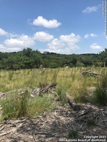 27206 Bent Trail, Fair Oaks, TX 78006 - photo 4