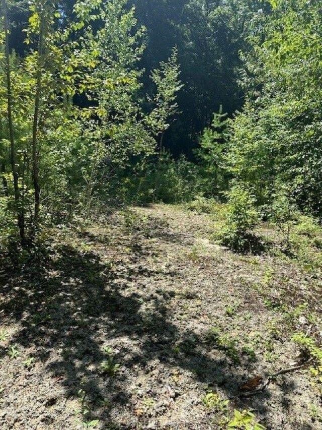 Map 6 Lot 67 Bog Rd, Hillsborough, NH 03244 - photo 4