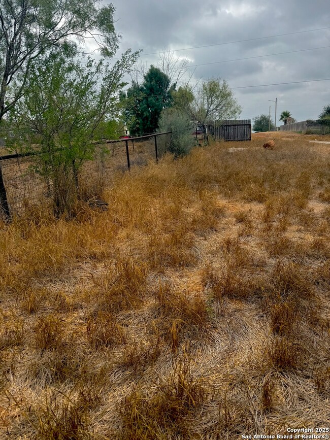 103 S Oleander Ave, Cotulla, TX 78014 - photo 6