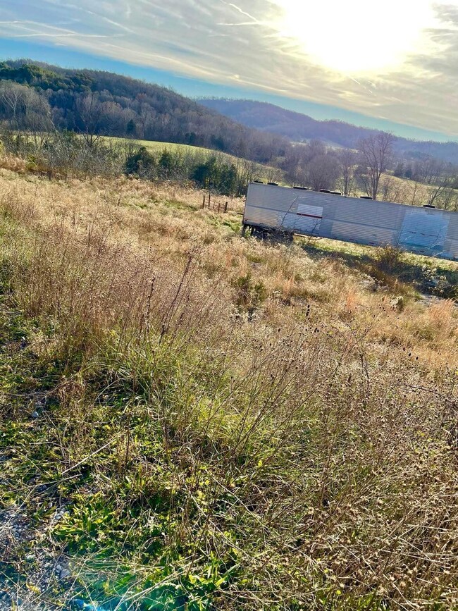 231 Highway 1003, Somerset, KY 42501 - photo 4