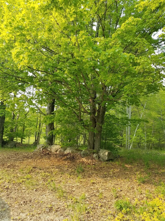 54 Old Elm Rd, Bridgton, ME 04009 - photo 2