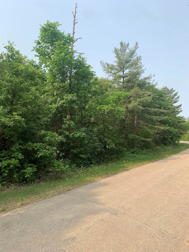 1.22 AC Flowage Rd, Spring Green, WI 53588 - photo 6