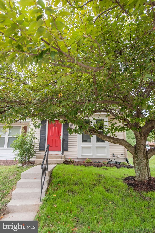 12049 Beltsville Dr, Beltsville, MD 20705 - photo 3