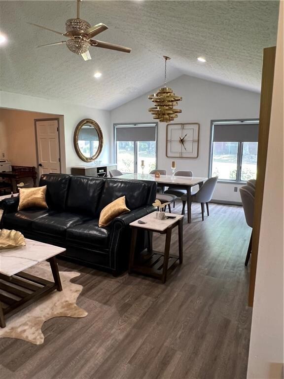 Living area featuring lofted ceiling, a textured ceiling, healthy amount of natural light, a ceiling fan, and dark wood-type flooring