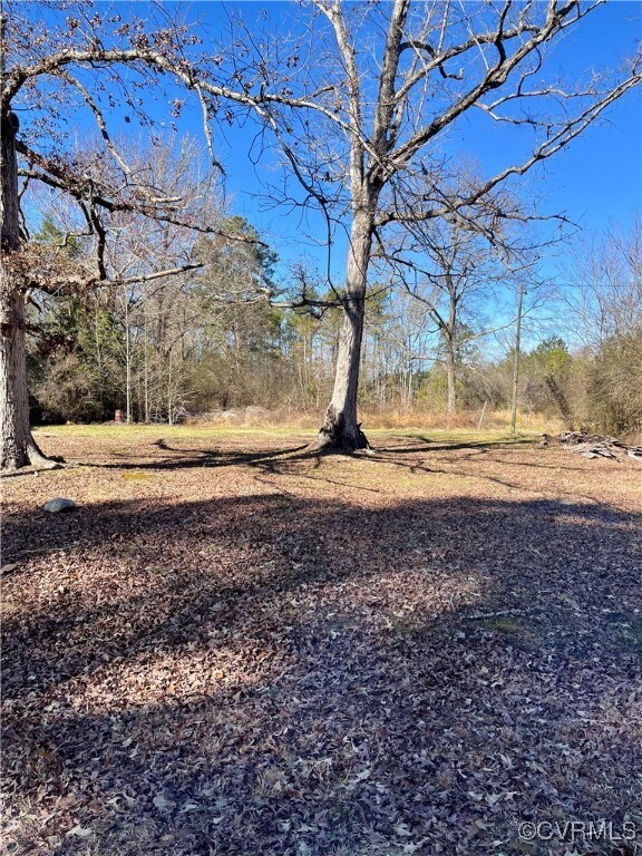 11901 Mapsico Rd, Charles City, VA 23030 - photo 4