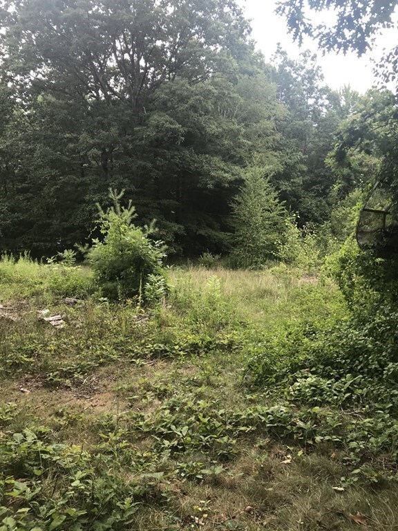 71 Edwards Rd, Westhampton, MA 01027 - photo 4