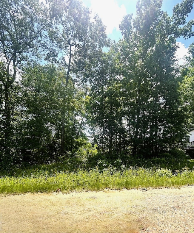 Front image of the lot