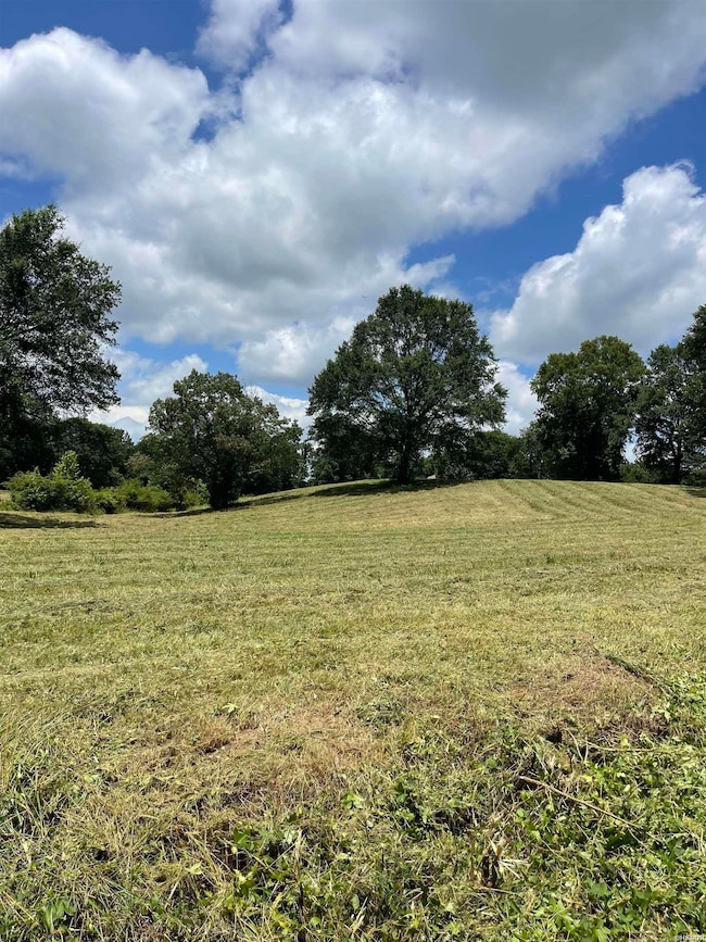 Lots 3 & 4 River View Dr, Glenwood, AR 71943 - photo 3