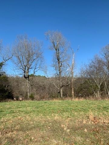 0 Park Ridge Dr, Township 2, AR 72745 - photo 2