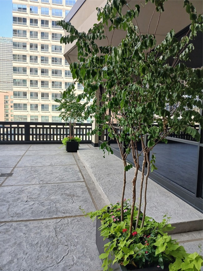 New Planters with Crepe Myrtles - As seen from liv