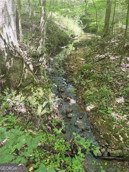 0 Benson Rd unit 10651364, Dallas, GA 30132 - photo 3