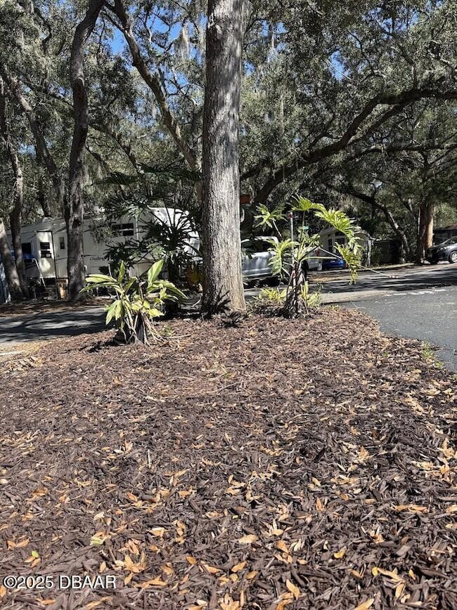 25161 NE 140th (Lot 18) Loop, Salt Springs, FL 32134 - photo 2