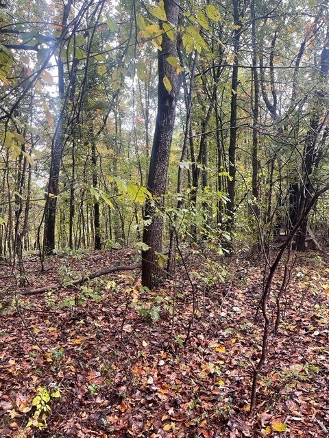 0 Cowhorne Hollow Rd unit RTC2300968, Prospect, TN 38477 - photo 3