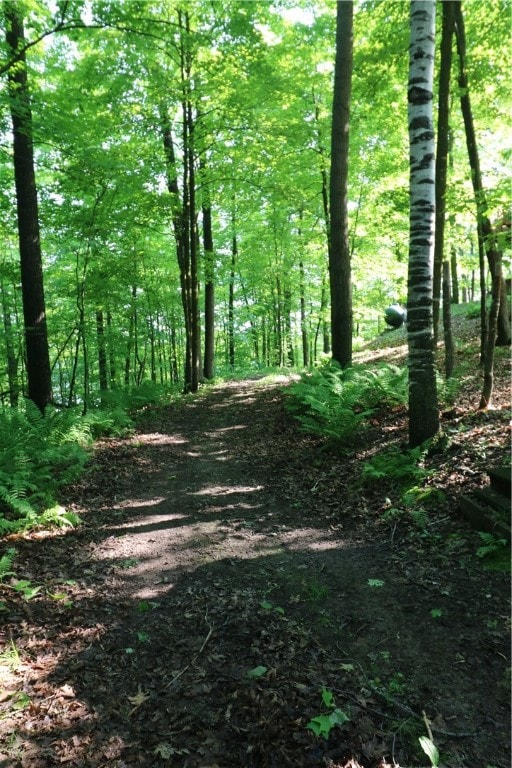 Meandering trail to the lake around the home