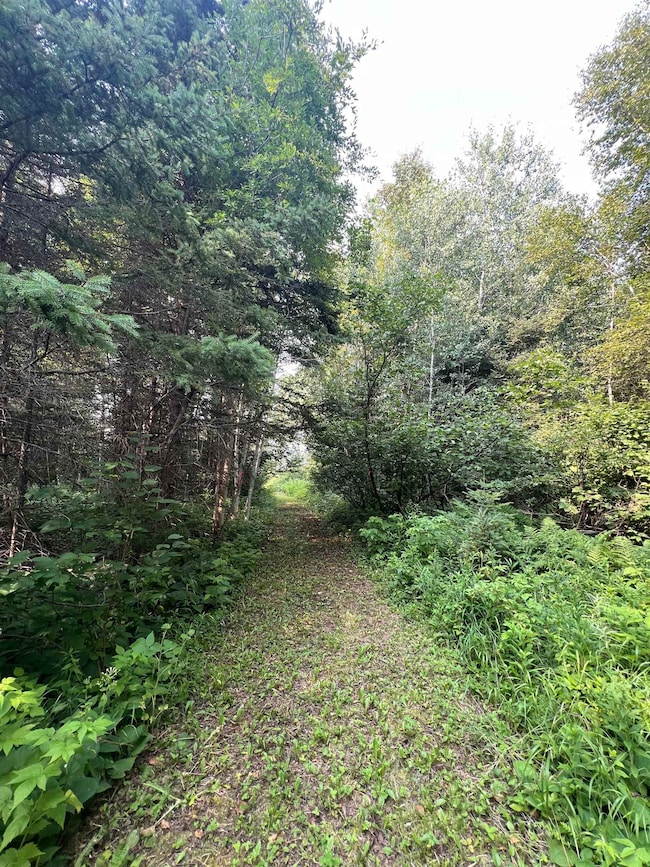 5445 Little Marais Rd, Finland, MN 55603 - photo 4