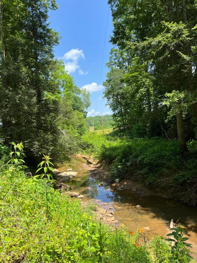 999 Big Barn Rd, Tyner, KY 40486 - photo 4