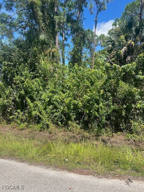 3606 50th St W, Lehigh Acres, FL 33971 - photo 4