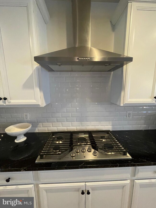 23584 Waterford Downs Terrace, Ashburn, VA 20148 - photo 6