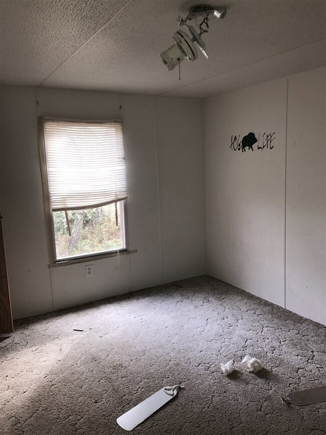 240 Whiddon Lake Rd, Crawfordville, FL 32327 - photo 7