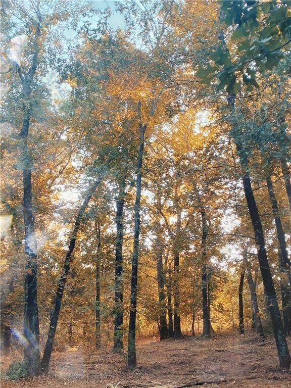 335200 Matlock Farms, McLoud, OK 74851 - photo 4