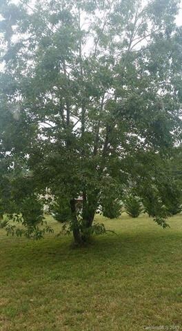 000 Luther Dr unit Lot 40 Sigmon Farms, Iron Station, NC 28080 - photo 5