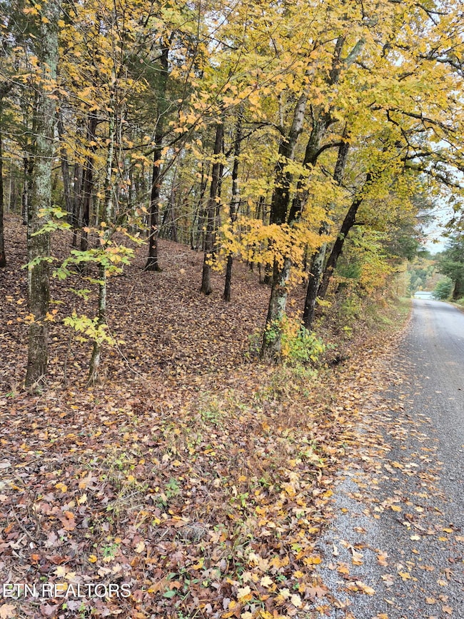 265 Jd Farm Rd, Tellico Plains, TN 37385 - photo 2