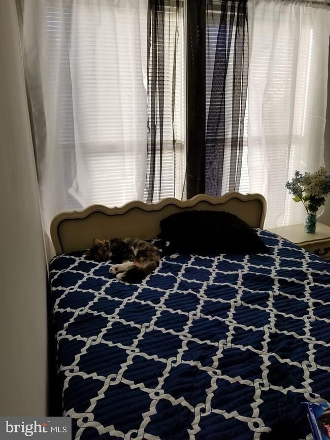 429 Locust St, Lancaster, PA 17602 - photo 5