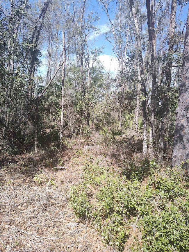 000 Strickland Landing Ct, Perry, FL 32348 - photo 4