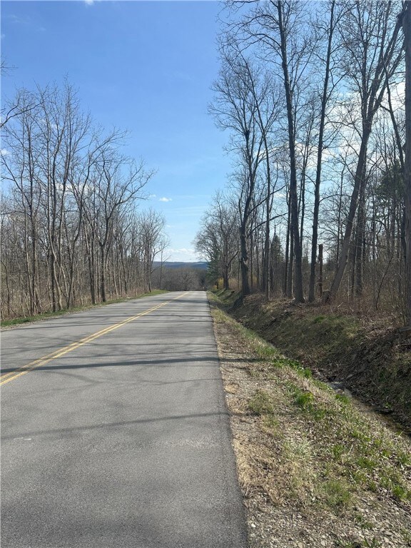 0 W Gulick Rd unit R1602201, South Bristol, NY 14512 - photo 4