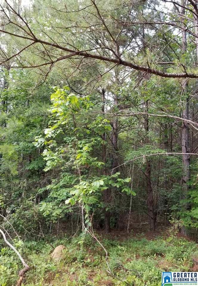 5 Charles Taylor Rd unit 5, Vance, AL 35490 - photo 5