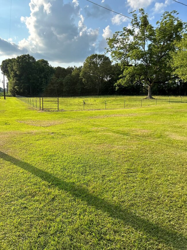 1185 Old Highway 24, McComb, MS 39648 - photo 4