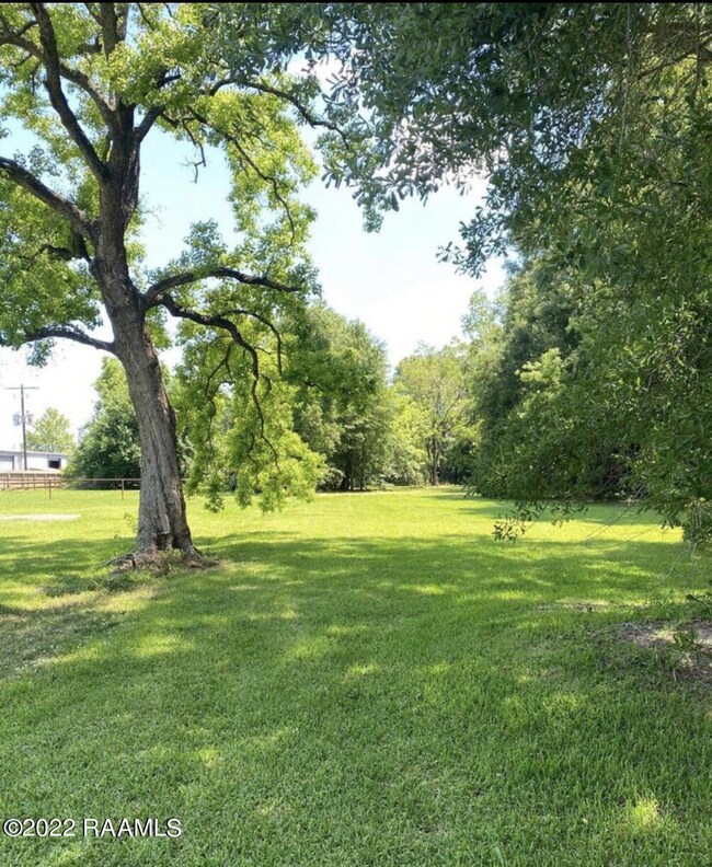 W Willow grounds