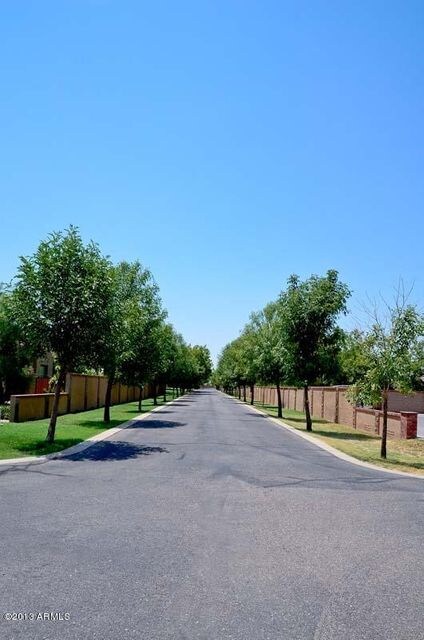 Lush Tree Lined Streets