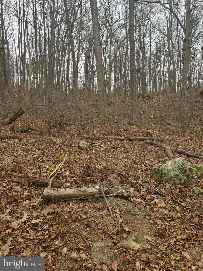 Lot 430 Chipmunk Trail Ln, Riverton, VA 22630 - photo 6