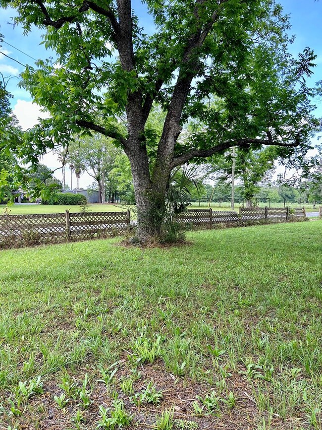 44 Hayes Cir, Tifton, GA 31794 - photo 6