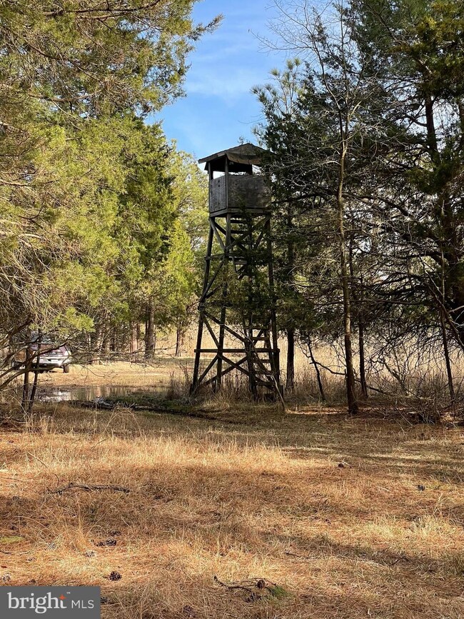 2434 Wesley Church Rd, Crapo, MD 21626 - photo 2