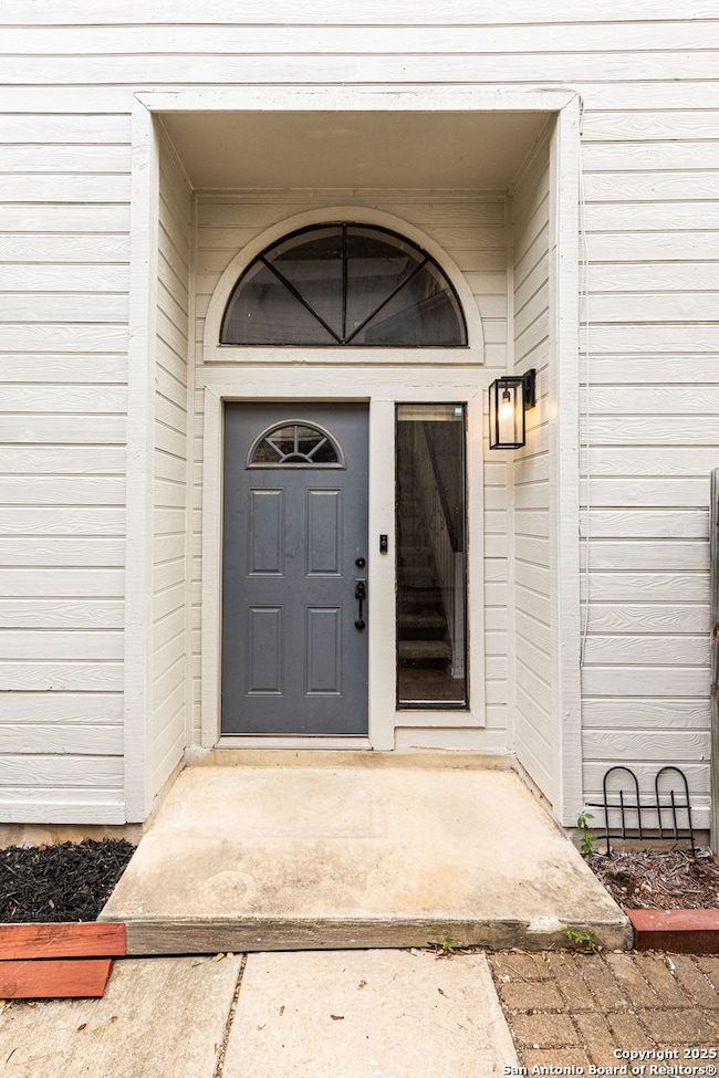 4206 Birch Tree St, San Antonio, TX 78247 - photo 6